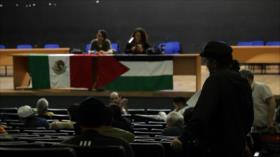 Movilizaciones en defensa de palestinos no cesan en México