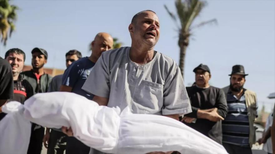 Más de 800 juristas alertan sobre genocidio israelí en Gaza | HISPANTV