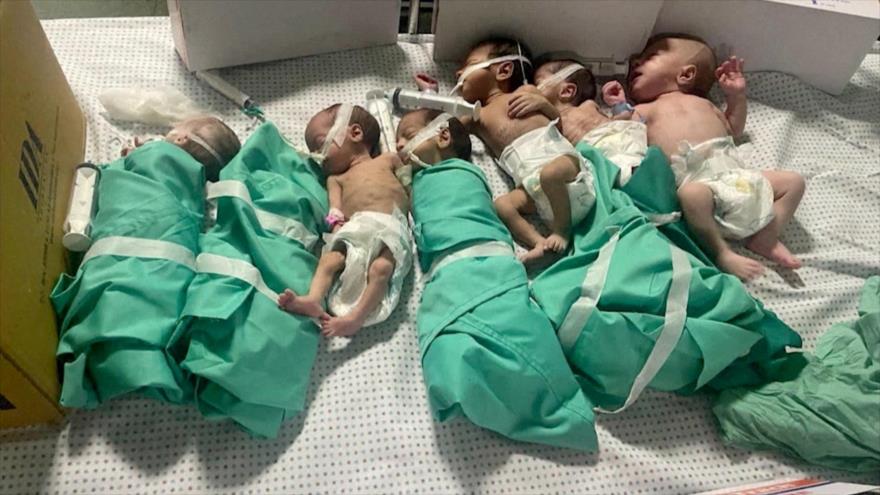 Varios recién nacidos son colocados en cama después de ser sacados de las incubadoras en el hospital Al-Shifa, en Gaza, 12 de noviembre de 2023.