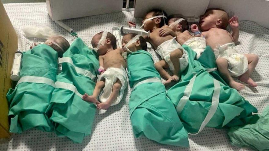 Varios bebés prematuros en el hospital de Al Shifa en Gaza. (Foto: REUTERS)