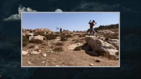 Aumento de violencia de colonos en Cisjordania en medio de guerra israelí contra Gaza | Causa Palestina
