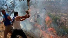 Ben-Gvir ordenó no controlar la violencia de colonos a palestinos 