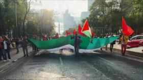 México se une a las marchas en muchos países en favor de Palestina