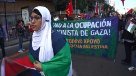 Colombianos muestran su apoyo irrestricto por una Palestina libre