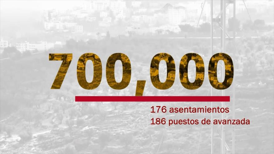 Gaza, despojada de vida