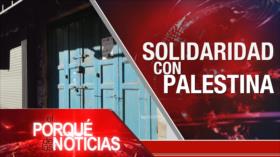 Solidaridad con Palestina| El Porqué de las Noticias
