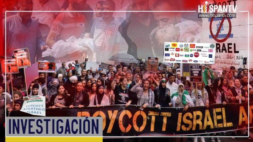 Conheça as empresas cúmplices do regime israelense no genocídio de Gaza |  HispanTV