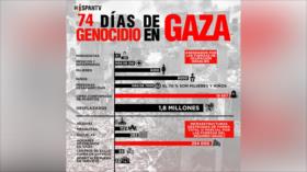 Impactantes cifras de 74 días de agresiones israelíes contra Gaza