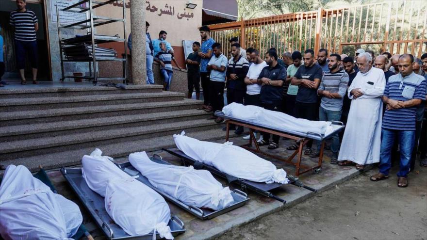 HAMAS: Israel roba los órganos de 80 palestinos muertos | HISPANTV