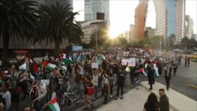 Cientos de mexicanos se manifiestan contra genocidio israelí en Gaza