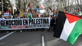 Vídeo: España apoya fallo del CIJ contra Israel con una marcha masiva