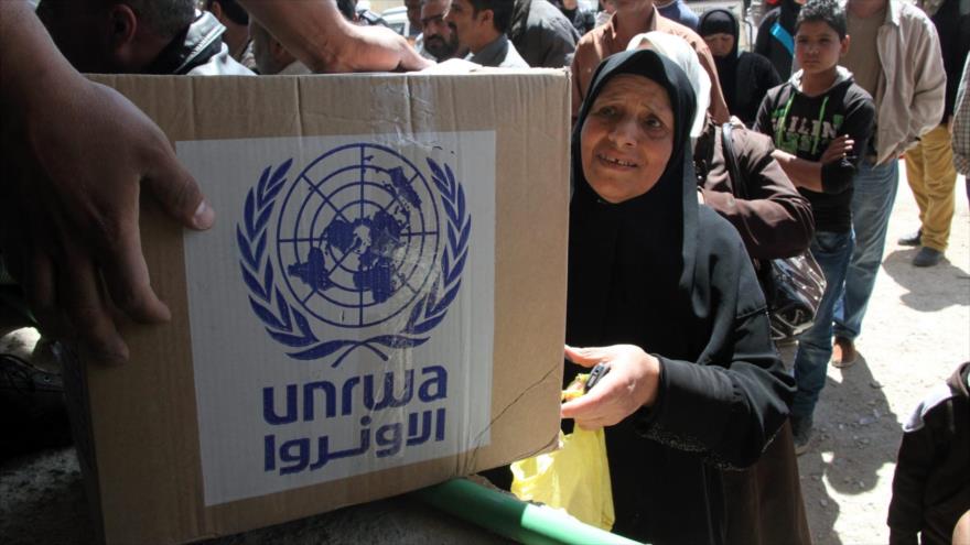 UNRWA avisa que suspende actividades en Gaza y región a finales de mes | HISPANTV