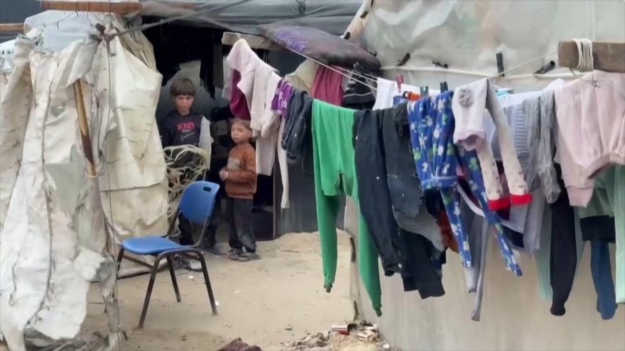 Otro genocidio les espera a los palestinos en Rafah, en el sur de Gaza | HISPANTV