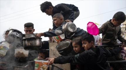 FAO advierte sobre niveles “sin precedentes” de hambruna en Gaza