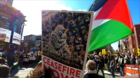 Washington y otras 144 ciudades del mundo marchan en apoyo a Palestina