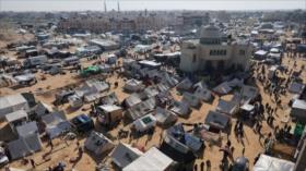 Israel alega que suspende sus ofensivas en Rafah hasta 7 de marzo