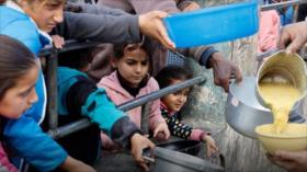 Informe: Se agrava la crisis de salud pública en la Franja de Gaza