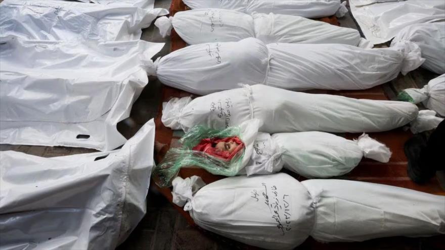 Más de 29 500 asesinados por Israel en Gaza, “triángulo de muerte” | HISPANTV