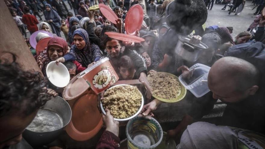 UNRWA pide medidas urgentes para llevar ayuda alimentaria a Gaza | HISPANTV