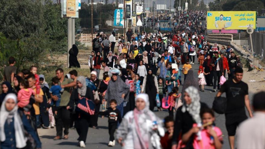 Los palestinos que huyen de la ciudad de Gaza hacia el sur caminan por una carretera, 8 de noviembre de 2023. (Foto: AFP)
