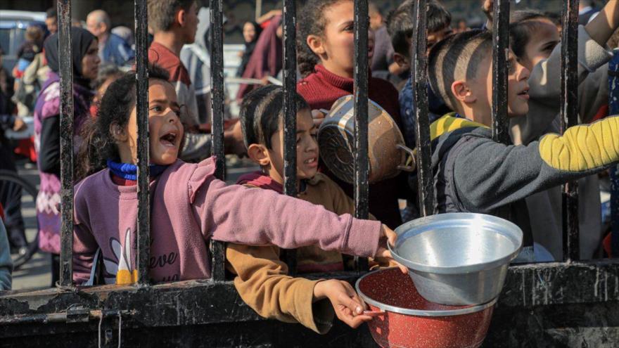 Niños intentan conseguir ayuda alimentaria en la ciudad de Rafah, en el sur de Gaza, el 31 de diciembre de 2023. 