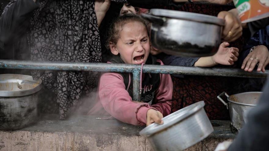 Los niños palestinos en Rafah hacen fila entre los escombros de los edificios destruidos para recibir alimentos, 10 de febrero de 2024. (Foto: Getty Images)