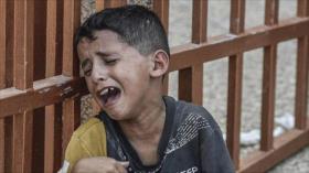 Jefe UNRWA: Sorprende la deshumanización de los palestinos