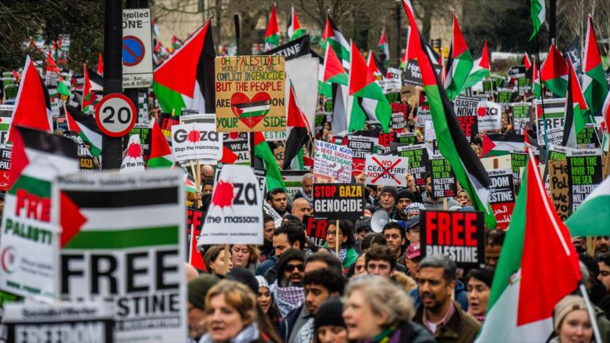 ‘Es esencial una unidad global para detener genocidio israelí en Gaza’