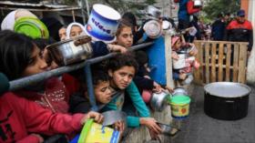 Unicef: Niños en Gaza sucumben a una muerte lenta por hambruna