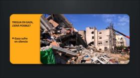 Tregua en Gaza, ¿será posible? | PoliMedios