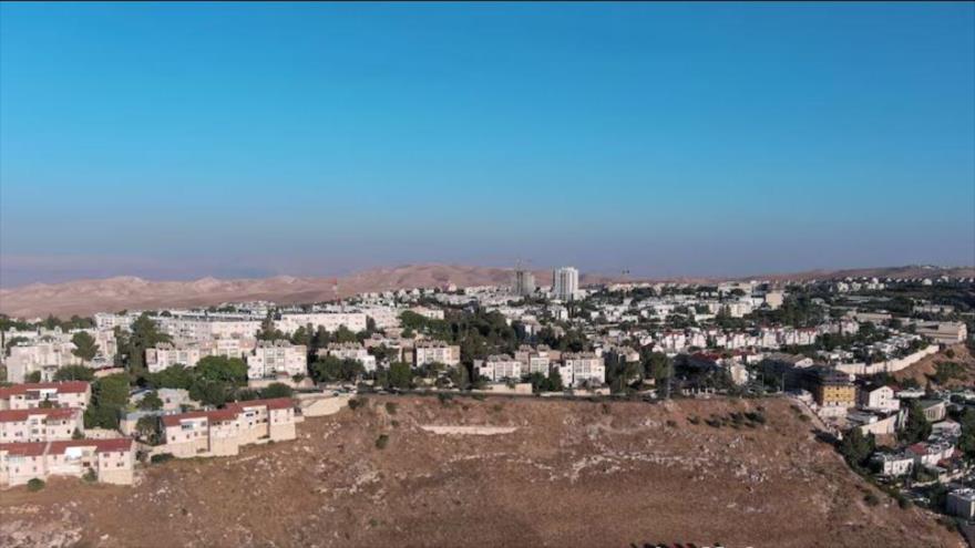 Una vista aérea muestra el asentamiento israelí de Maale Adumim en la Cisjordania ocupada, 25 de junio de 2023. (Foto: Reuters)