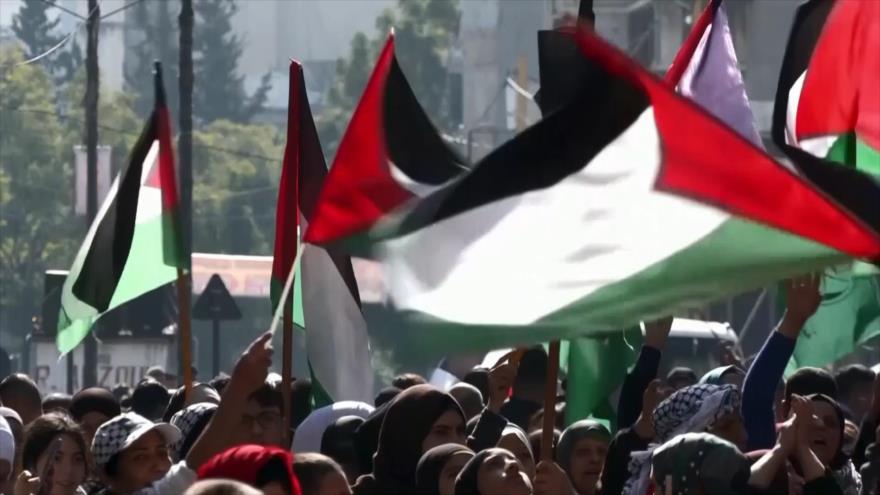 Mundo árabe contra Israel | Causa Palestina