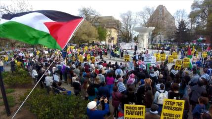 Miles marchan en Washington en aniversario del Día de Tierra Palestina
