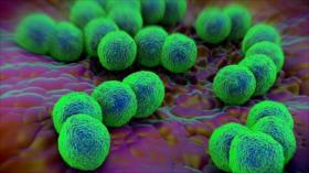 Alerta en China: Aparece una enfermedad resistente a antibióticos