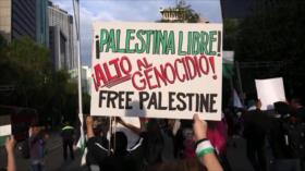 Apoyo de América Latina a Palestina | Wikihispan