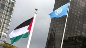 China exige la “rápida” admisión de Palestina en la ONU