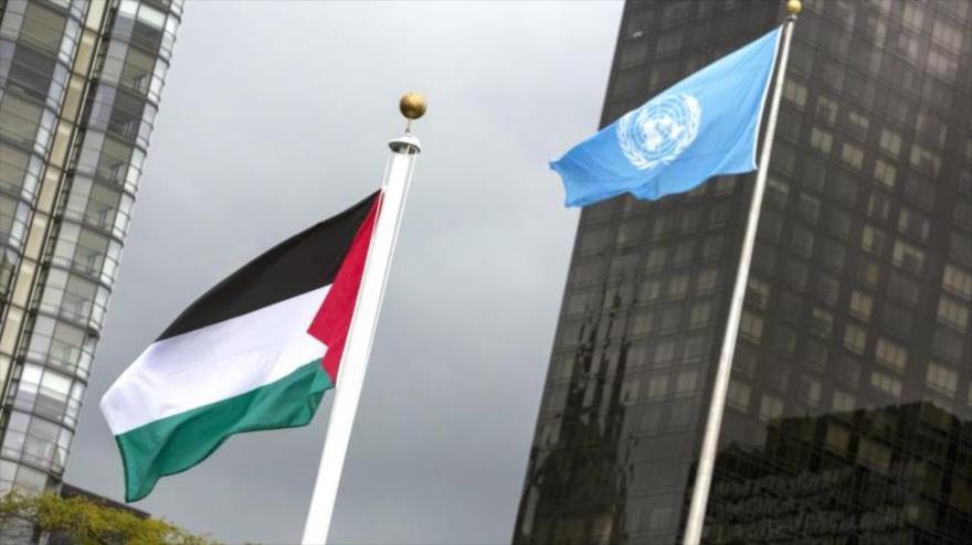 Bandera de Palestina (izda.) al lado de la bandera de las Naciones Unidas en la sede de la ONU en Nueva York, 30 de septiembre de 2015. (Foto: Reuters)