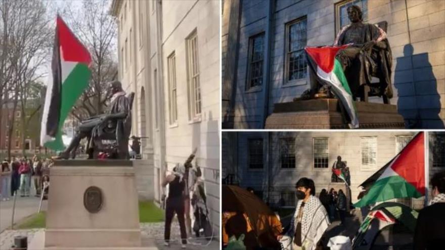 Estudiantes en Harvard izan la bandera palestina en lugar de la de EEUU 