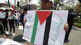 Mexicanos expresan apoyo a Irán y a Palestina