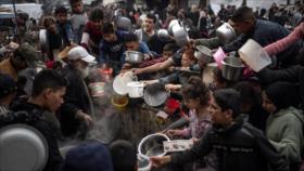 Agencia de Alimentos de ONU: Gaza sufre una hambruna en toda regla