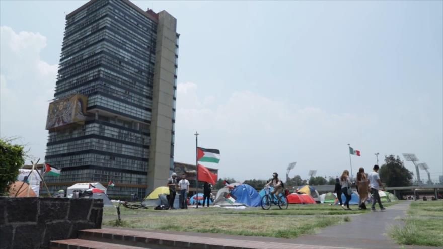 Continúan acciones solidarias con el pueblo palestino en México