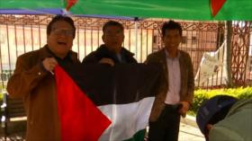 Universitarios bolivianos instalan campamentos propalestinos