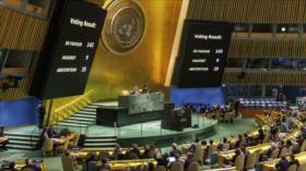 HAMAS aprecia apoyo mundial a Palestina y sus derechos legítimos