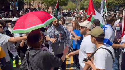 Académicos en EEUU deciden irse a la huelga en apoyo a Palestina