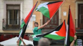 Mundo árabe elogia a trío europeo por reconocer Estado de Palestina