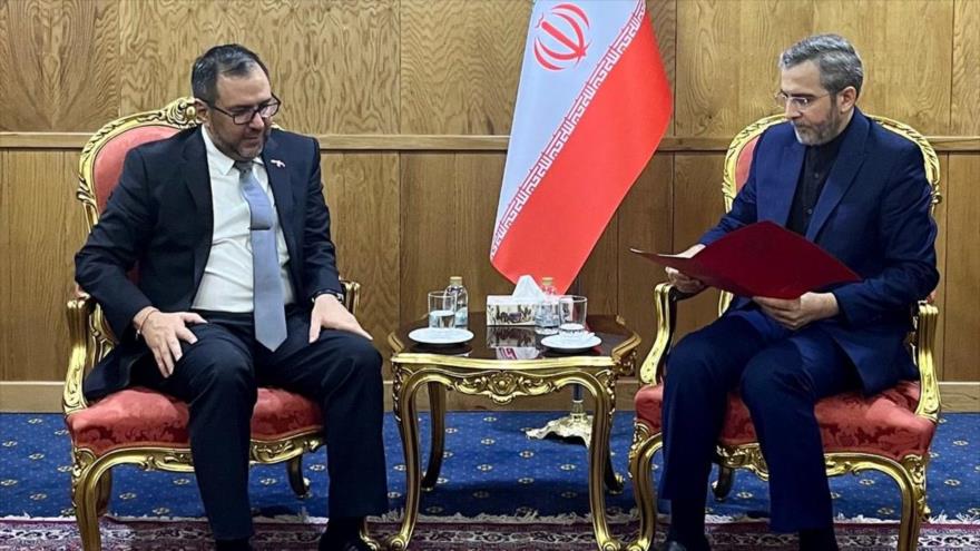 El ministro de Asuntos Exteriores en funciones iraní, Ali Baqeri Kani (decha.), y su par venezolano, Iván Gil.