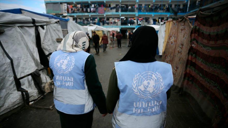 Trabajadoras de UNRWA en una de las escuelas refugio de la Agencia Ashraf Amra.