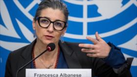 Relatora de ONU pide embargos a Israel para que detenga su “locura”