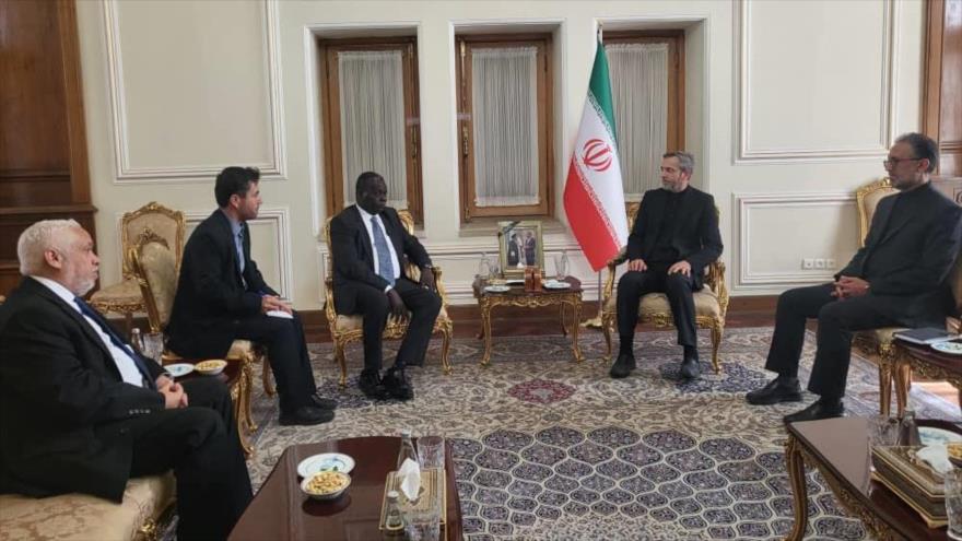 ‘Condolencias por martirio de Raisi muestran importancia de Irán’
