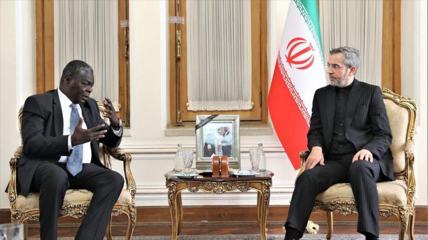 El canciller interino iraní, Ali Baqeri Kani (dcha.), reunido con Pedro Luis Pedroso Cuesta, enviado especial del presidente de Cuba, en Teherán, 25 de mayo de 2024.
